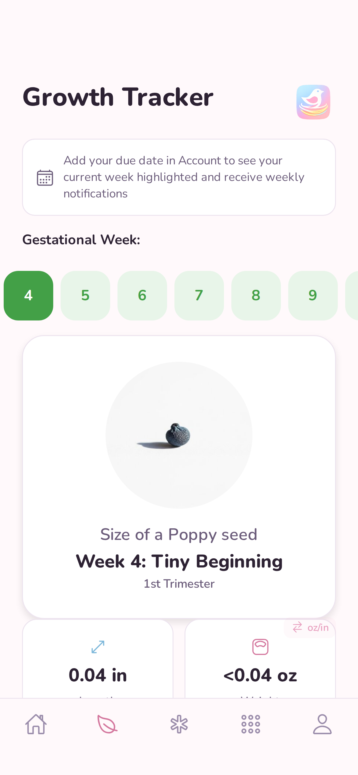 Pregnancy Center — 40-week growth tracker