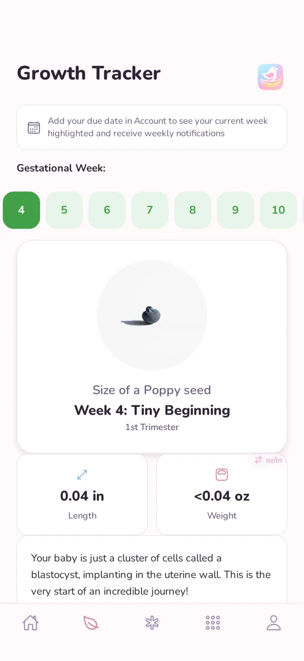 Nesting Co. growth screen