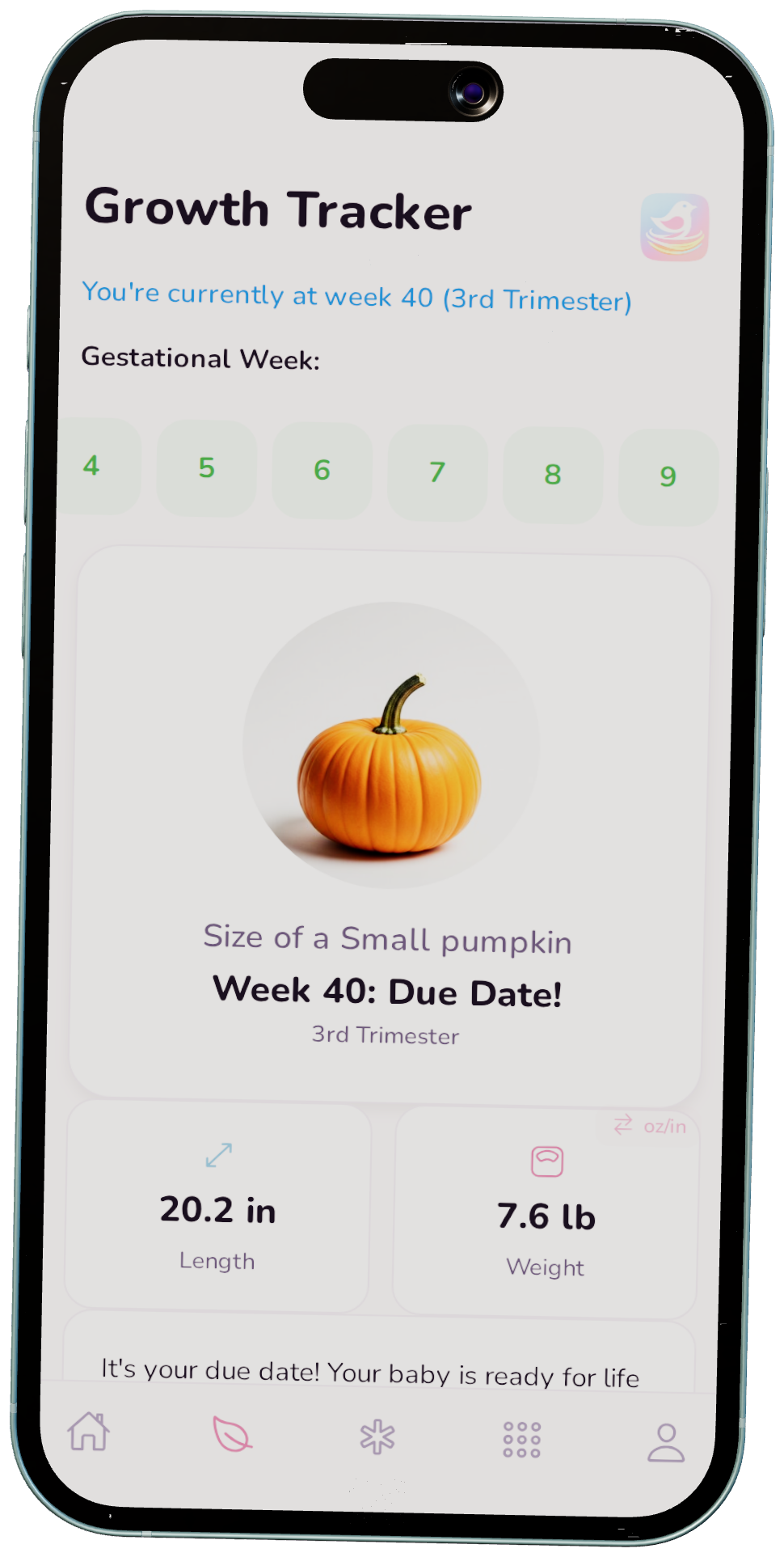 Nesting Co. pregnancy growth-tracking dashboard.