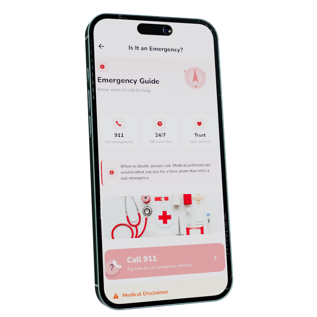 Emergency Guide — Nesting Co. app preview.