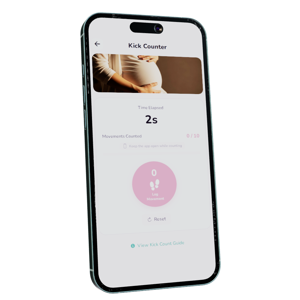 Kick Counter — Nesting Co. app preview.