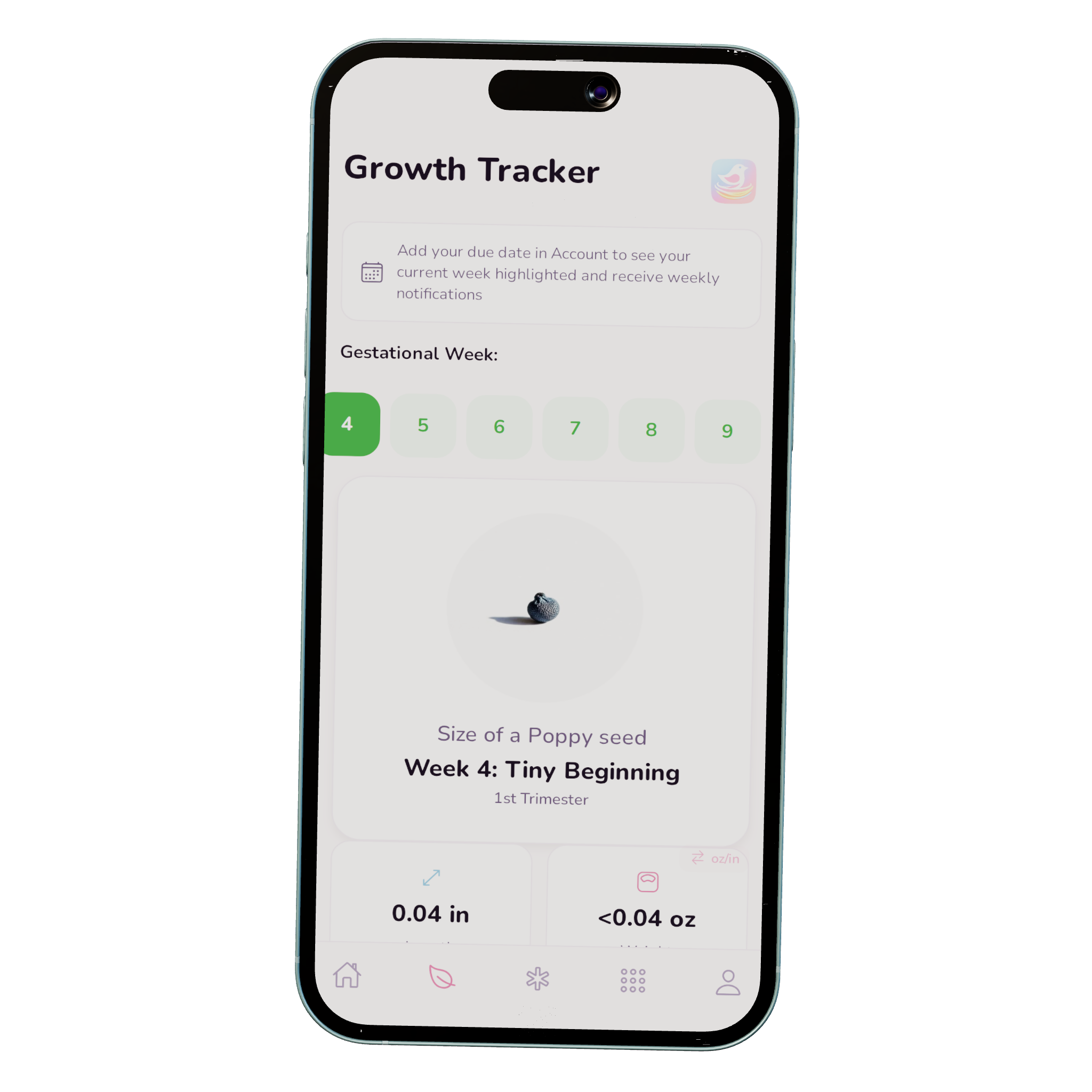 Nesting Co. pregnancy growth-tracking dashboard.