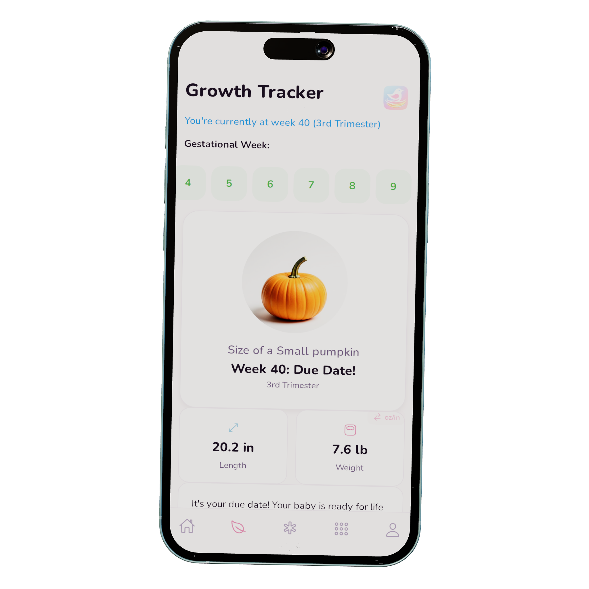 Nesting Co. pregnancy growth-tracking dashboard.