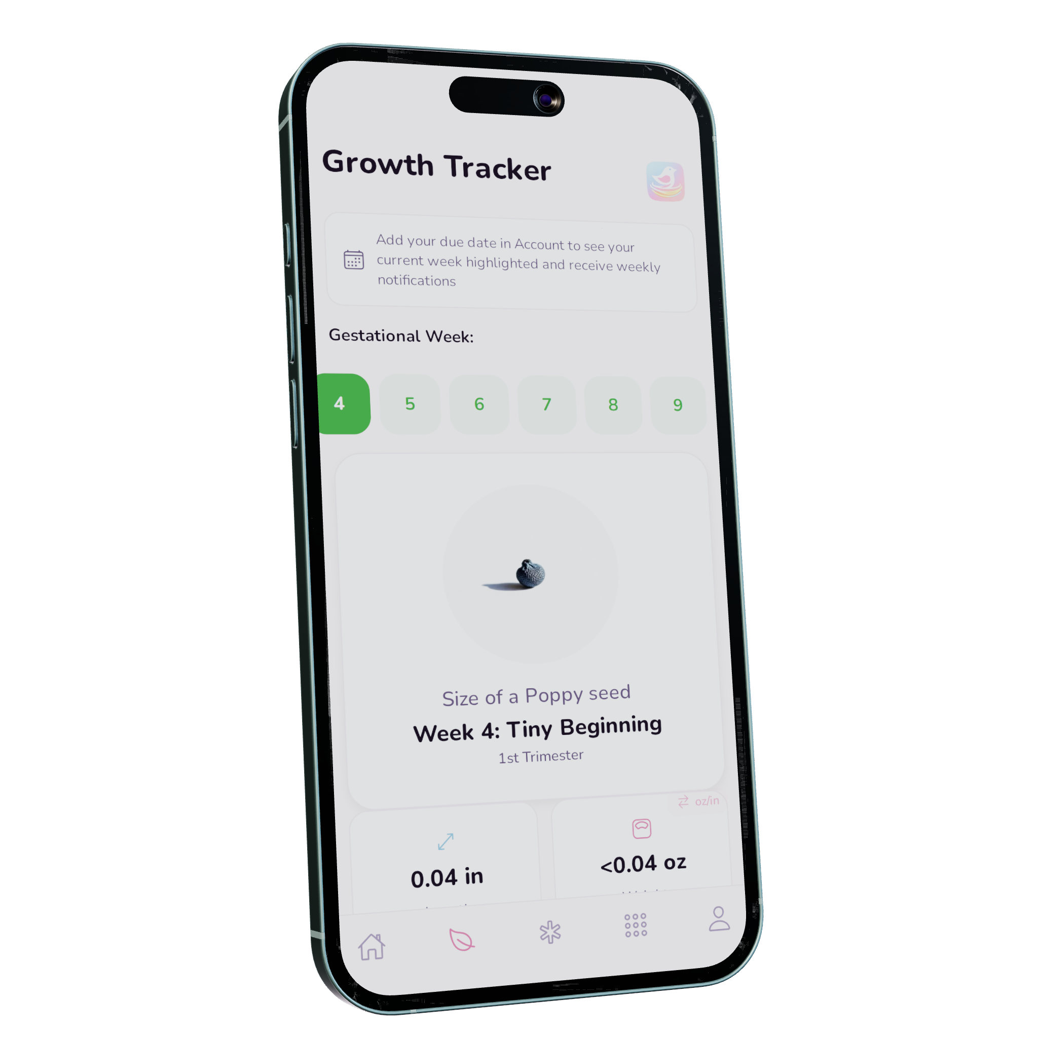 Nesting Co. pregnancy growth-tracking dashboard.