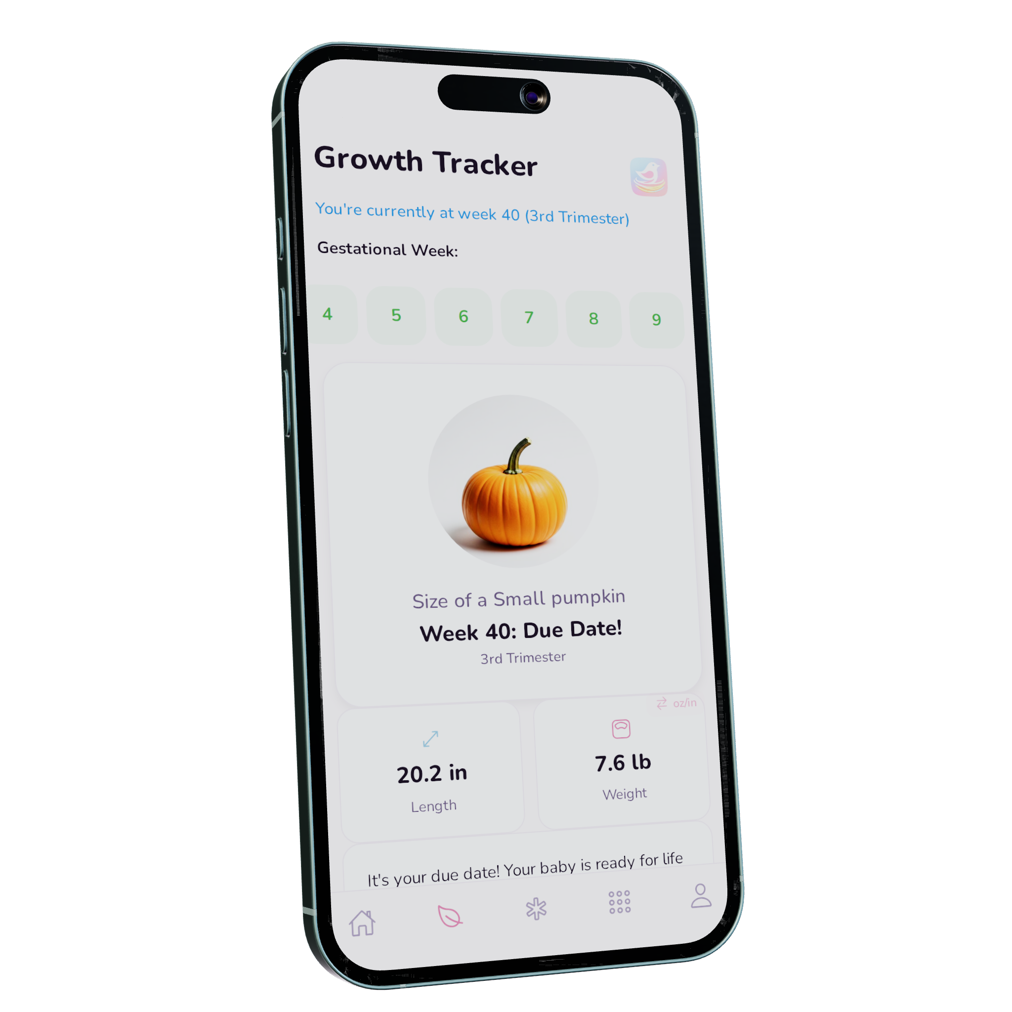 Nesting Co. pregnancy growth-tracking dashboard.