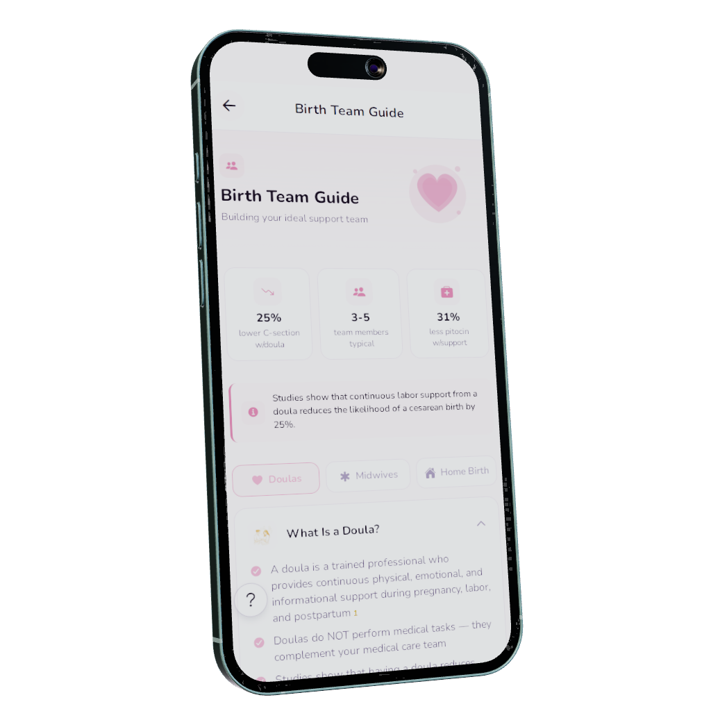 Birth Team Guide — Nesting Co. app preview.